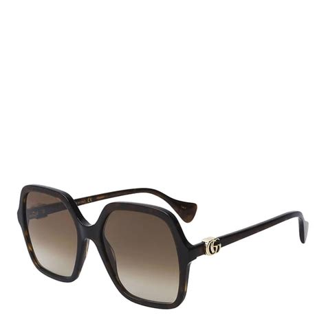 women's brown havana/gold gucci sunglasses 56mm|Gucci overzi sunglasses.